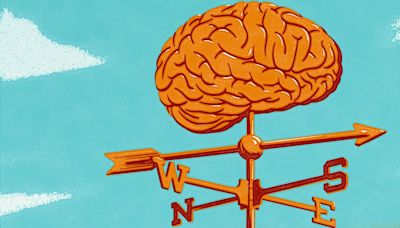 What Our Brains Know About Stocks—But Won’t Tell Us