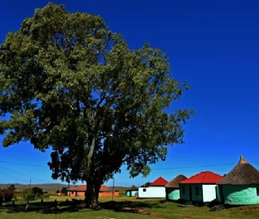 Afrique du Sud: l'Unesco ajoute un village où a grandi Nelson Mandela à la liste du patrimoine mondial