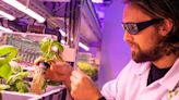 Bristol indoor farming company strikes deal with US manufacturer