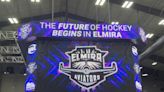 Elmira Aviators Named Newest Team to Play at First Arena