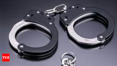 'Robber grandpas': Elderly trio charged with burglary in Japan - Times of India