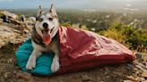 The best dog camping gear, picked by adventure dogs and their owners