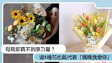 母親節買不到康乃馨？這6種花也能代表「媽媽我愛你」