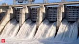 Arunachal sees big potential in hydro power