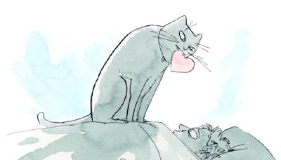 A Feline Scientist Explains Why Your Cat Might Actually Like You