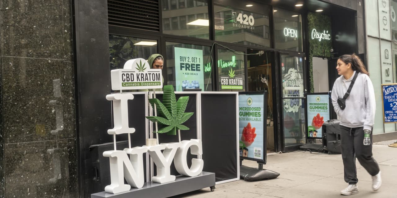 Opinion | Don’t Junk New York’s Legal Marijuana Market