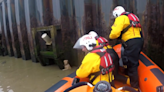 Video shows moment dog rescued from River Thames by RNLI crew after 14ft fall into water