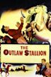 The Outlaw Stallion