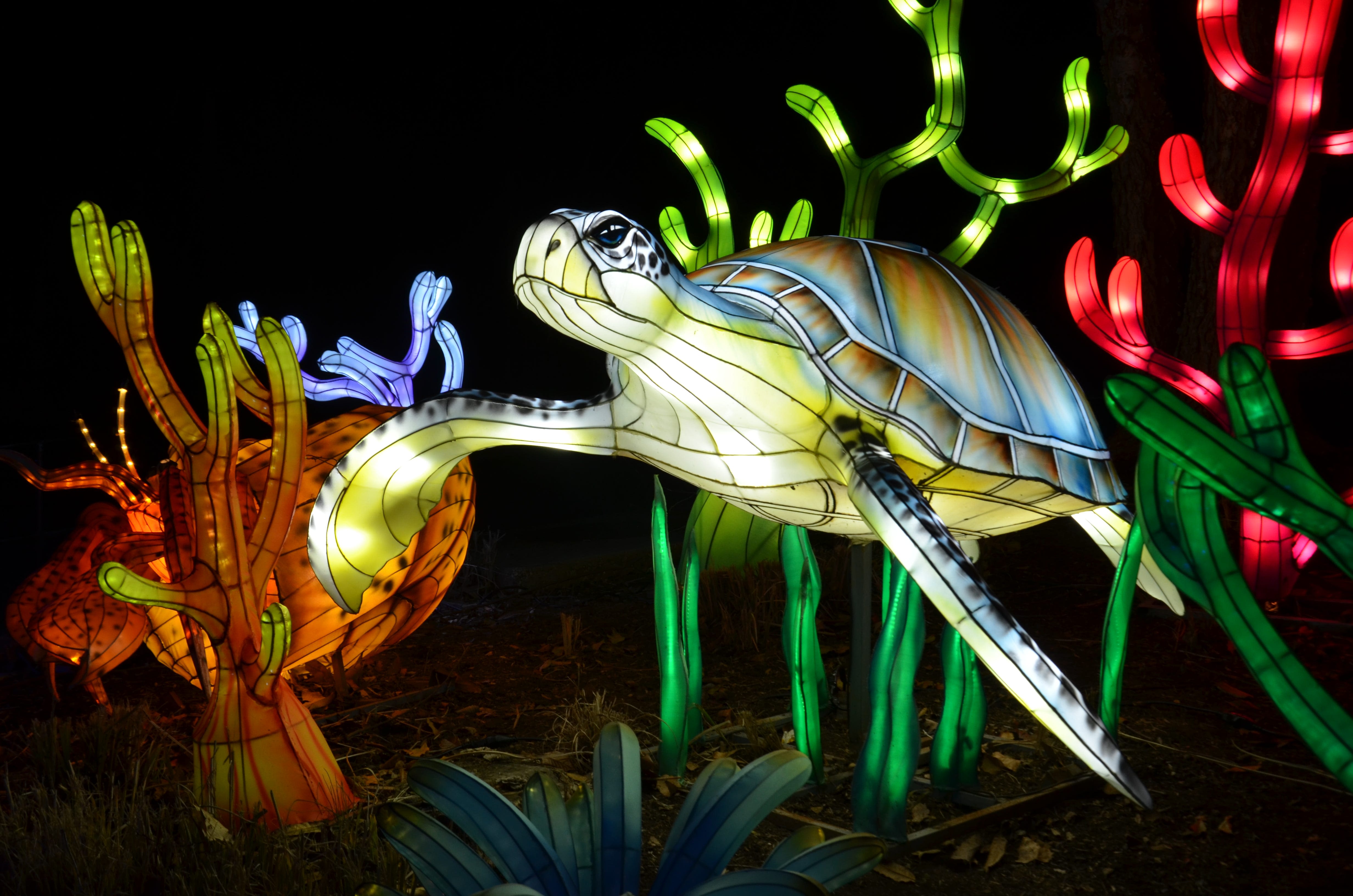 Lantern Fest to light up nights at Columbus Zoo and Aquarium