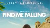 Find Me Falling Review: You’ll find yourself falling for this heartwarming tale about second chances