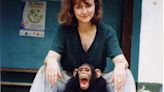 Everyday Heroes: Portland Veterinarian devotes life to saving chimpanzees in Africa