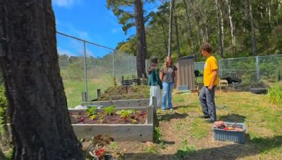 Pacifica students tackle climate change lesson with leadership program, community garden