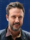 David Arquette in World Championship Wrestling