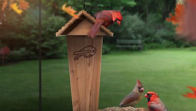 Bills poke fun at Cardinals with birdhouse-themed troll