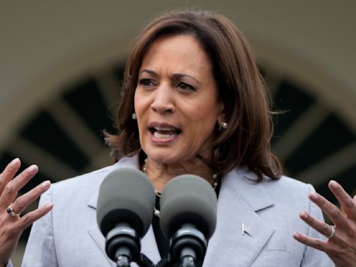 Silent no more, Harris elevates her voice while still echoing Biden's