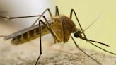 Southern Nevada Health District announces detection of first West Nile virus-positive mosquitos in Clark County