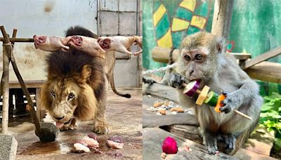 中秋烤肉「牠們」也參一咖！動物園辦「野營派對」