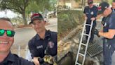 Oviedo firefighters successfully rescued 11 ducklings this weekend