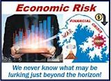 What is economic risk? Definition and example - Market ...