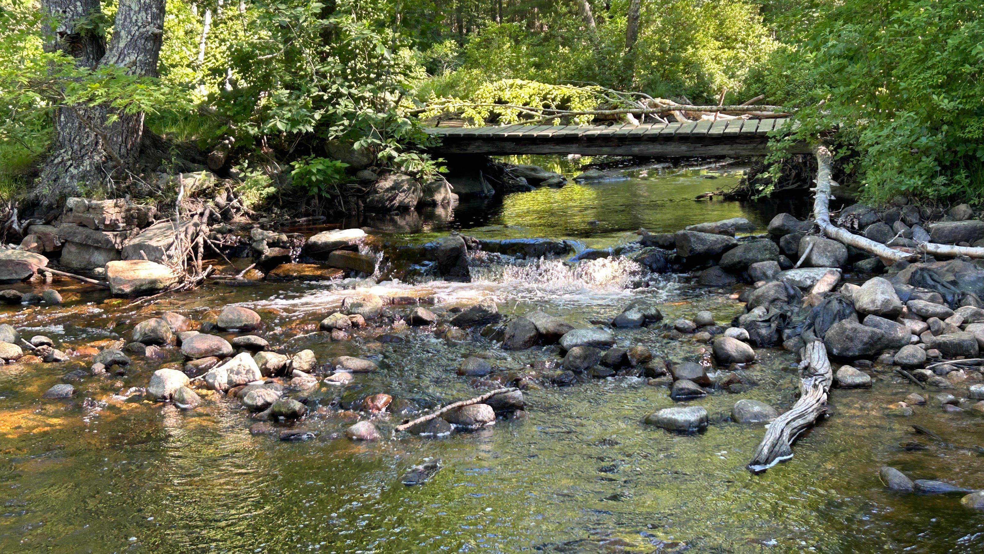 Beach Pond Camp was a haven for city kids in the 1930s. Now you can explore its eerie ruins