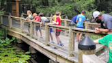 Registration for Bays Mountain Park Day Camp opens