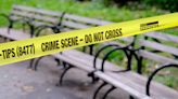 Man, 66, found dying on Bronx park bench was stabbed: NYPD