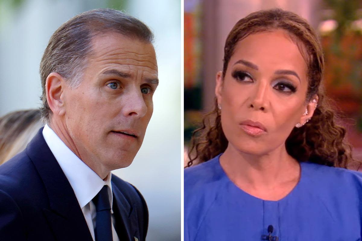 'The View': Sunny Hostin says Hunter Biden's federal firearms trial shows "that no one is above the law"