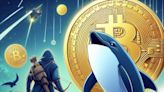 Whale Bags 600 Billion Shiba Inu Coin from Robinhood, Fueling Optimism for Price Rally - EconoTimes