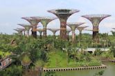 Gardens by the Bay