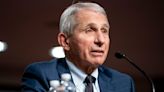 Could a TV Gig Be in Dr. Fauci’s Future?