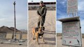 Choppers, dogs and towers: Inside the Fed's fight against illegal immigrant intruders