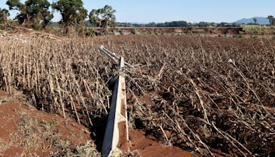 Economía - La producción agrícola de Brasil está en peligro por las mortales inundaciones en Río Grande do Sul