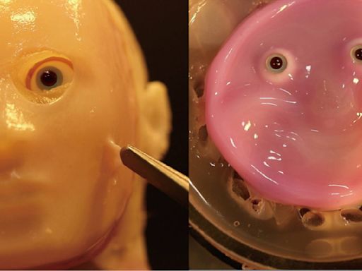 Scientists create a face for robots out of 'cultured human cells' and it's something that I wish I could unsee now