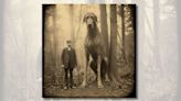Fact Check: Real, Vintage Photo of a Giant Irish Dog?