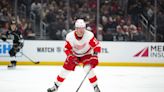 Why Daniel Sprong has been a 'remarkable fit' for Detroit Red Wings