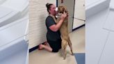Watch: Dog missing for 2 years reunited with owner in heartwarming reunion