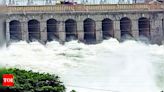 Decrease in Inflow to Major Dams in Karnataka | Mysuru News - Times of India