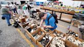 Thousands will be in Greene County this weekend for this year’s Hamvention