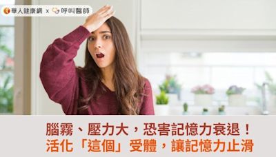 腦霧、壓力大，恐害記憶力衰退！活化「這個」受體，讓記憶力止滑 | 蕃新聞