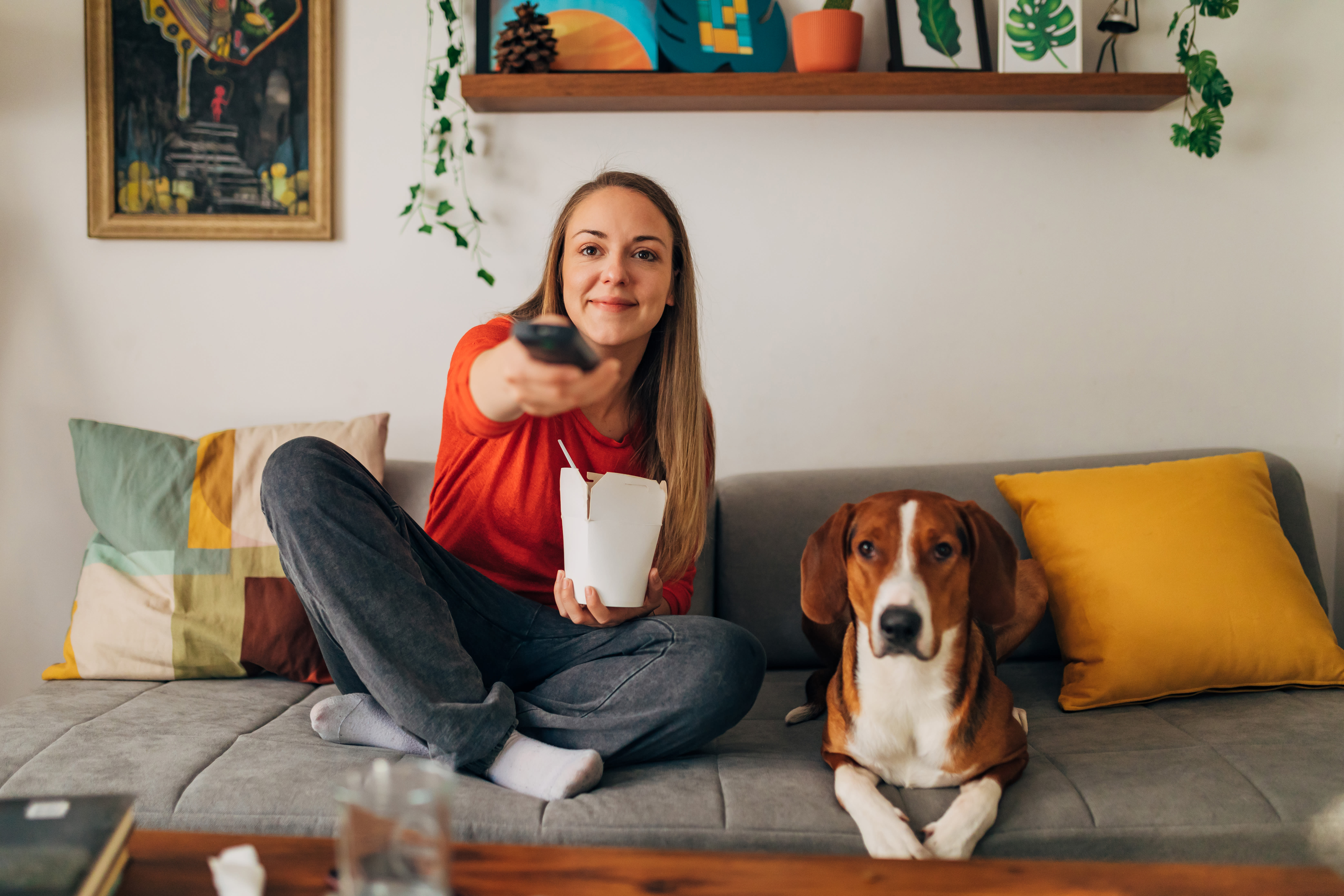 The reasons why almost half of Americans prefer to watch TV with their dogs