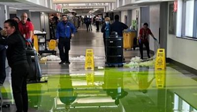 Bright green liquid gushes from ceiling at Miami International Airport on July 4