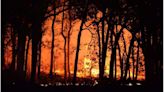 Los incendios forestales extremos se duplicaron en los últimos 20 años en todo el planeta