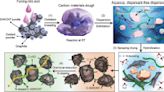 Single-walled carbon nanotubes doped with 'nitrogen' enhance the performance of secondary battery anode