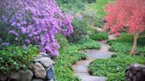 Gwent gardens open to public for National Garden Scheme