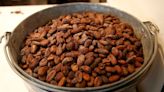 Hey, chocolate lovers: new study traces complex origins of cacao