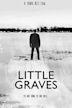 Little Graves | Horror, Mystery