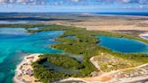 This Caribbean Island Is Home to Beautiful Coral Reefs — Here's How You Can Help Protect Them