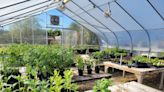 Thinking about this year's garden? Check out these tips | Sally Scalera