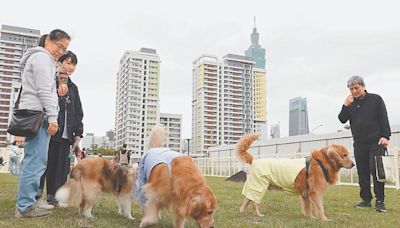 前兩月寵物險 損率維持高檔