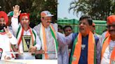 Will Congress’s Bhushan Patil be able to beat Piyush Goyal in BJP’s ‘safe seat’?